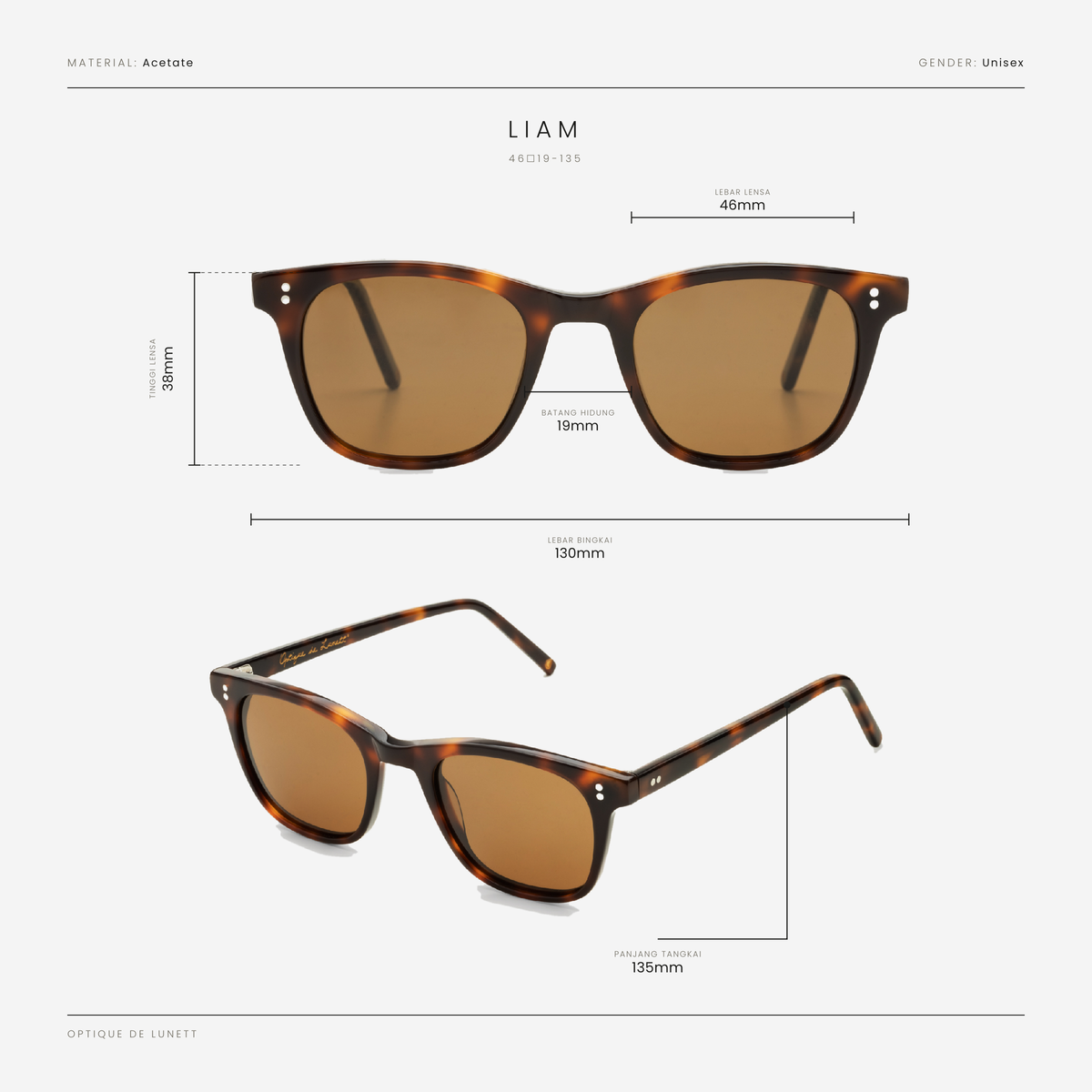 Liam Tortoise Sun