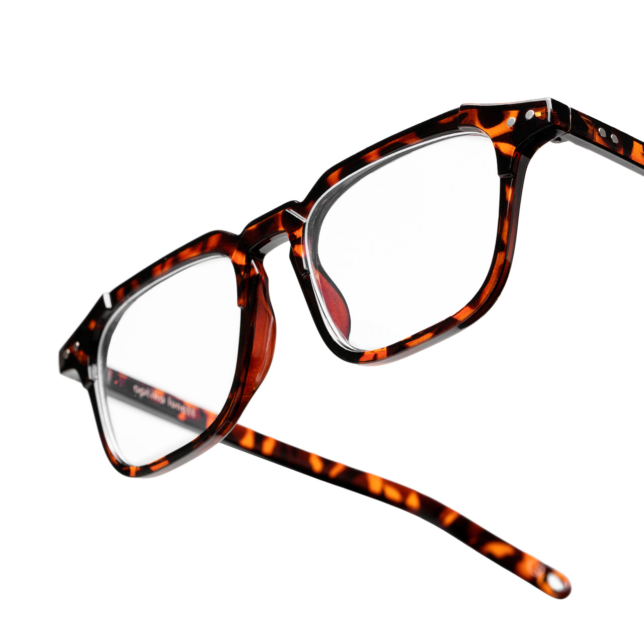 Oliver Tortoise (5648557899944)