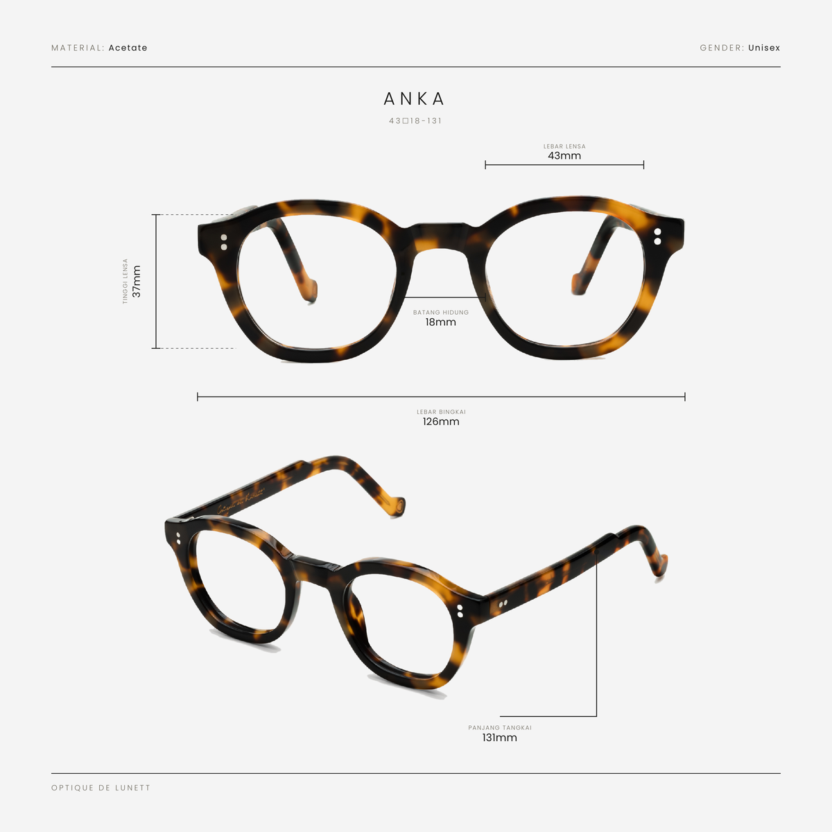 Anka Tortoise
